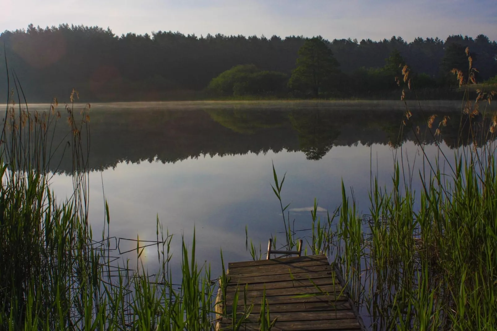 Doppelhaus Seepferdchen-Gebieden zomer 20km