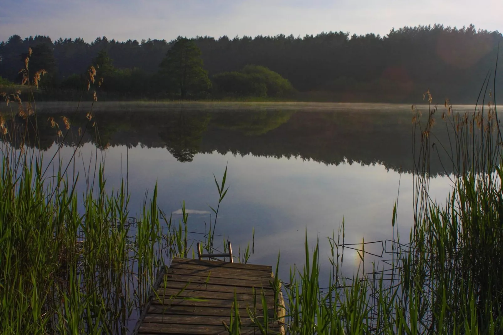 Doppelhaus Seepferdchen-Gebieden zomer 20km