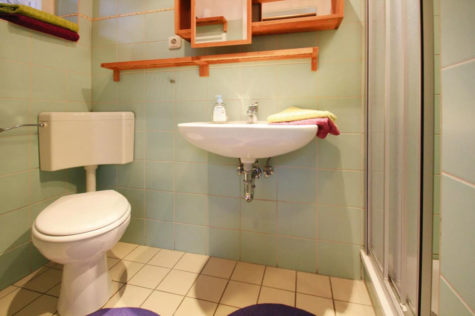 Ferienhaus 65 qm-Badkamer