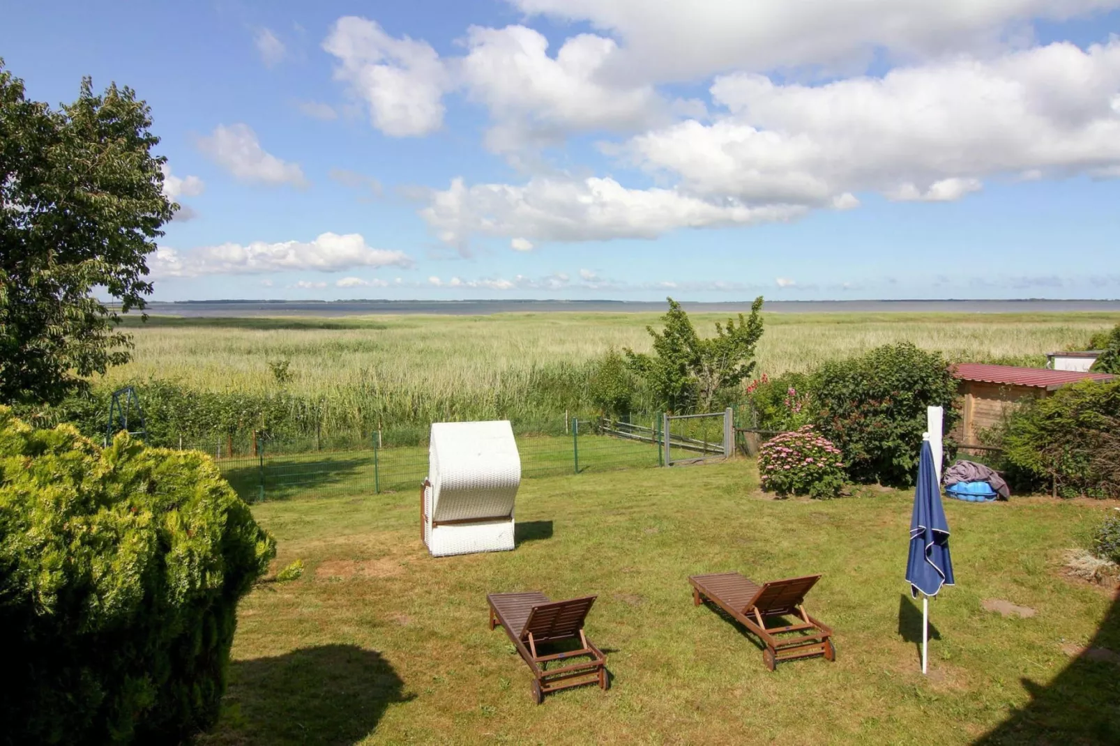 Ferienhaus Am Schilfufer-Uitzicht zomer