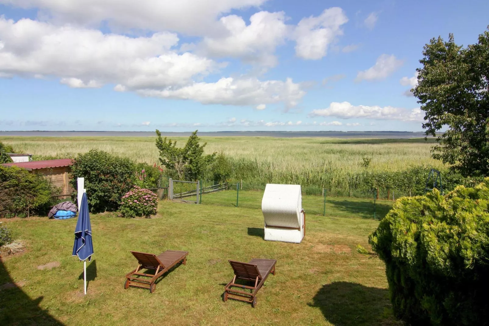 Ferienhaus Am Schilfufer-Uitzicht zomer