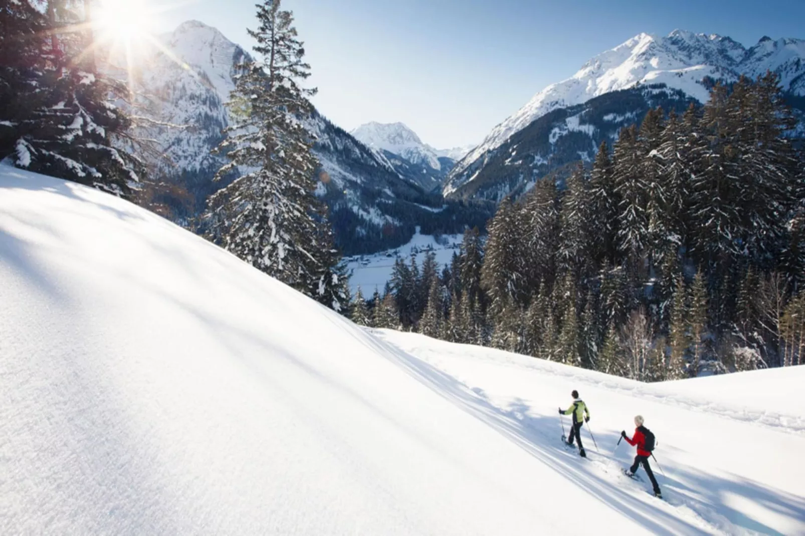 Haus Schedler - Gipfelblick-Gebied winter 5km