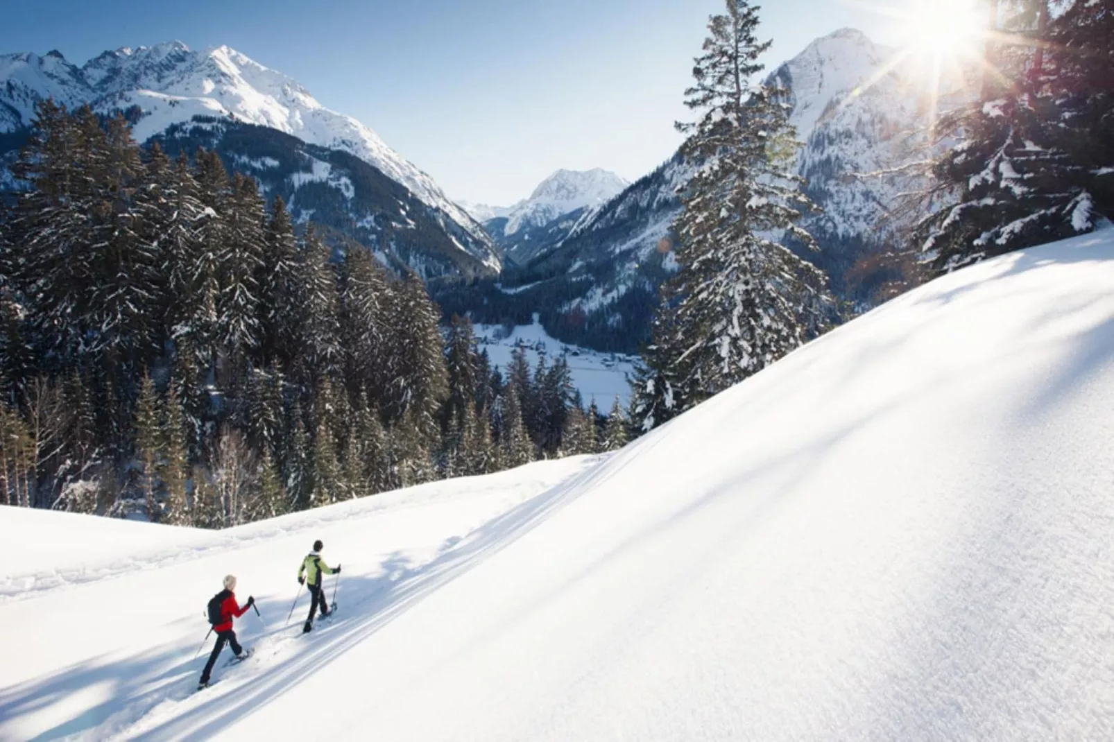 Haus Schedler - Gipfelblick-Gebied winter 5km