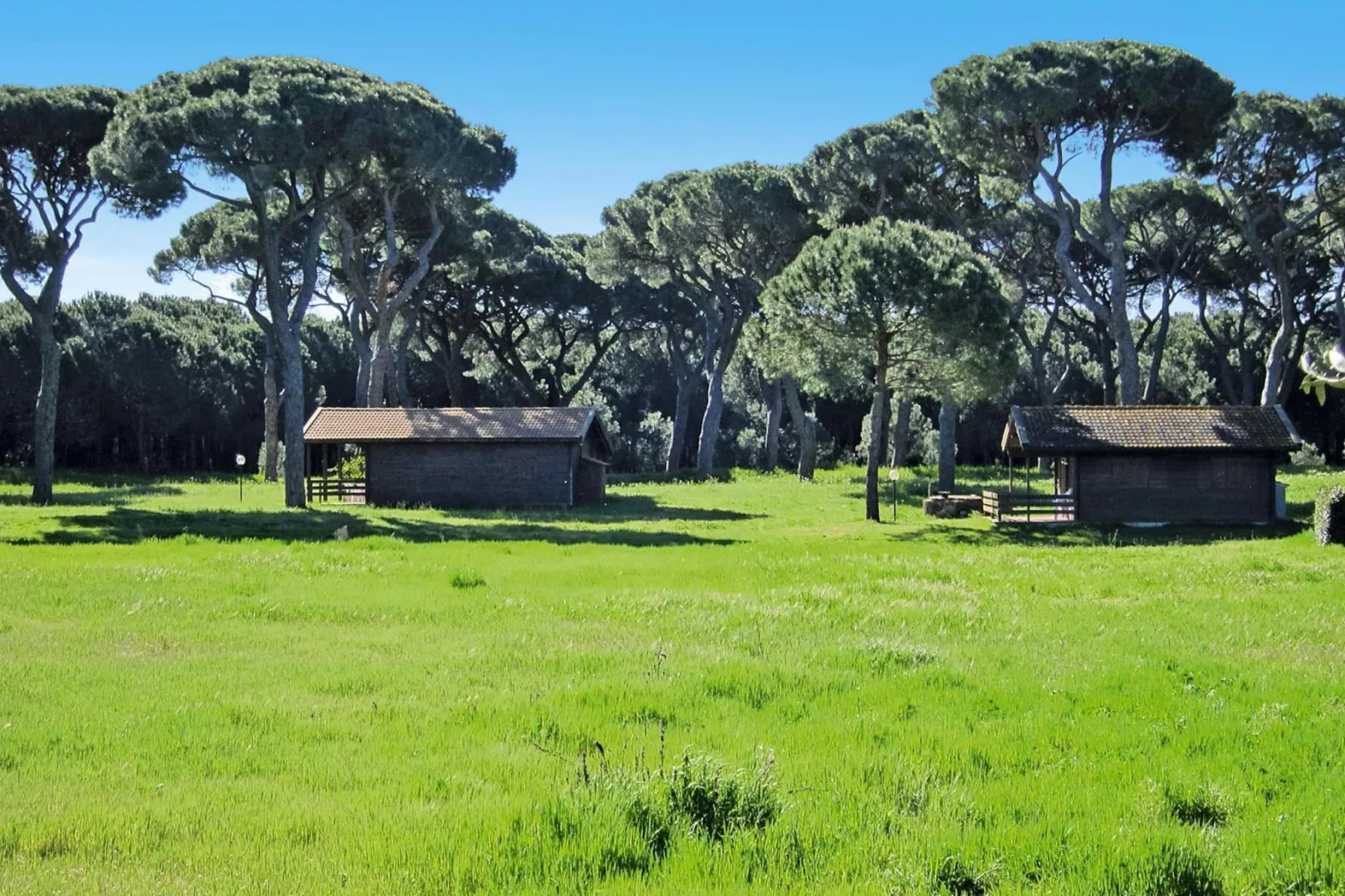 Ferienanlage Azienda Canova Seconda Marina di Grosseto Mono  im OG Haupth/Verwalterhaus Garten-Tuinen zomer