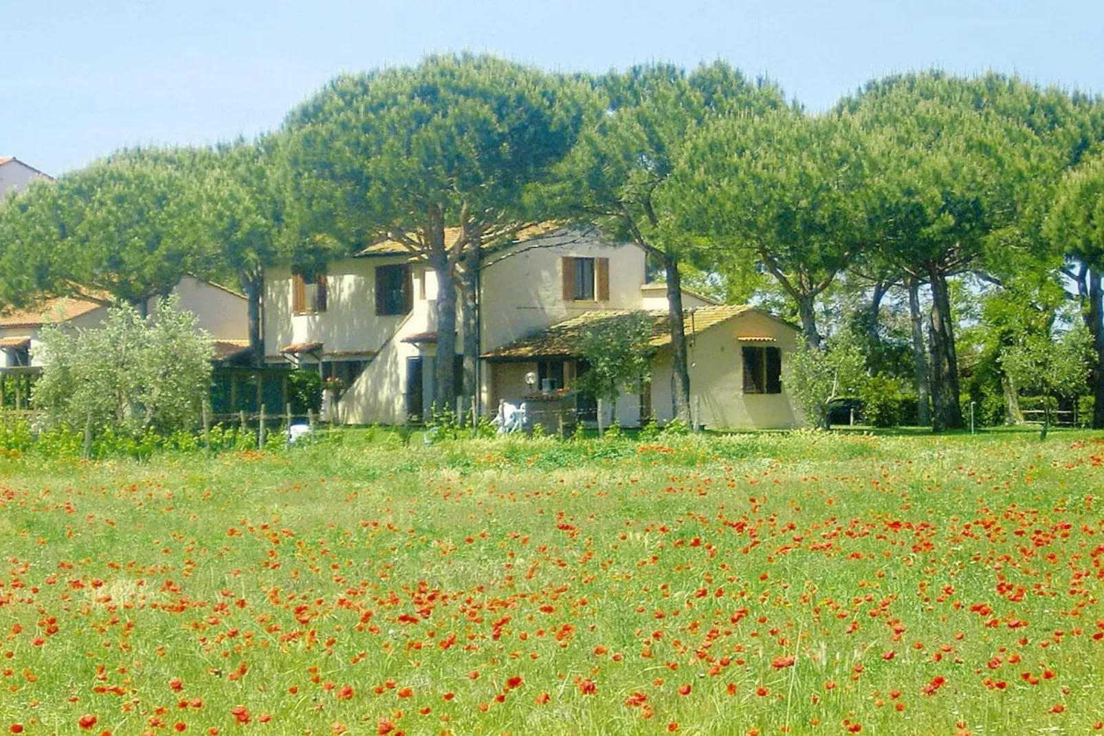 Ferienanlage Azienda Canova Seconda Marina di Grosseto Mono  im OG Haupth/Verwalterhaus Garten-Gebieden zomer 1km