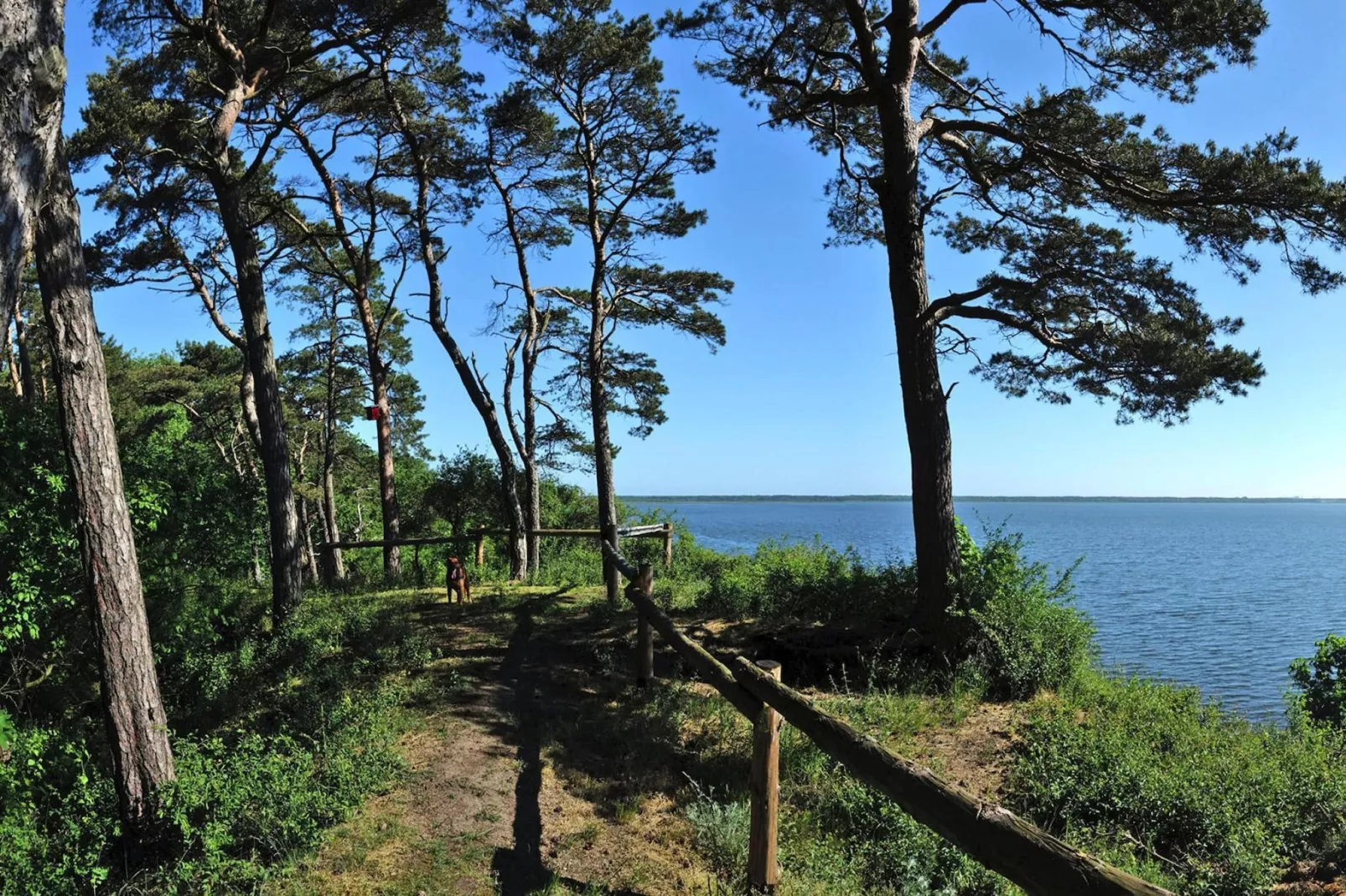 Holiday flat Lubin-Gebieden zomer 5km
