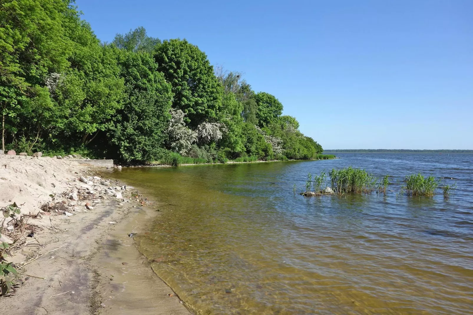Holiday flat Lubin-Gebieden zomer 1km