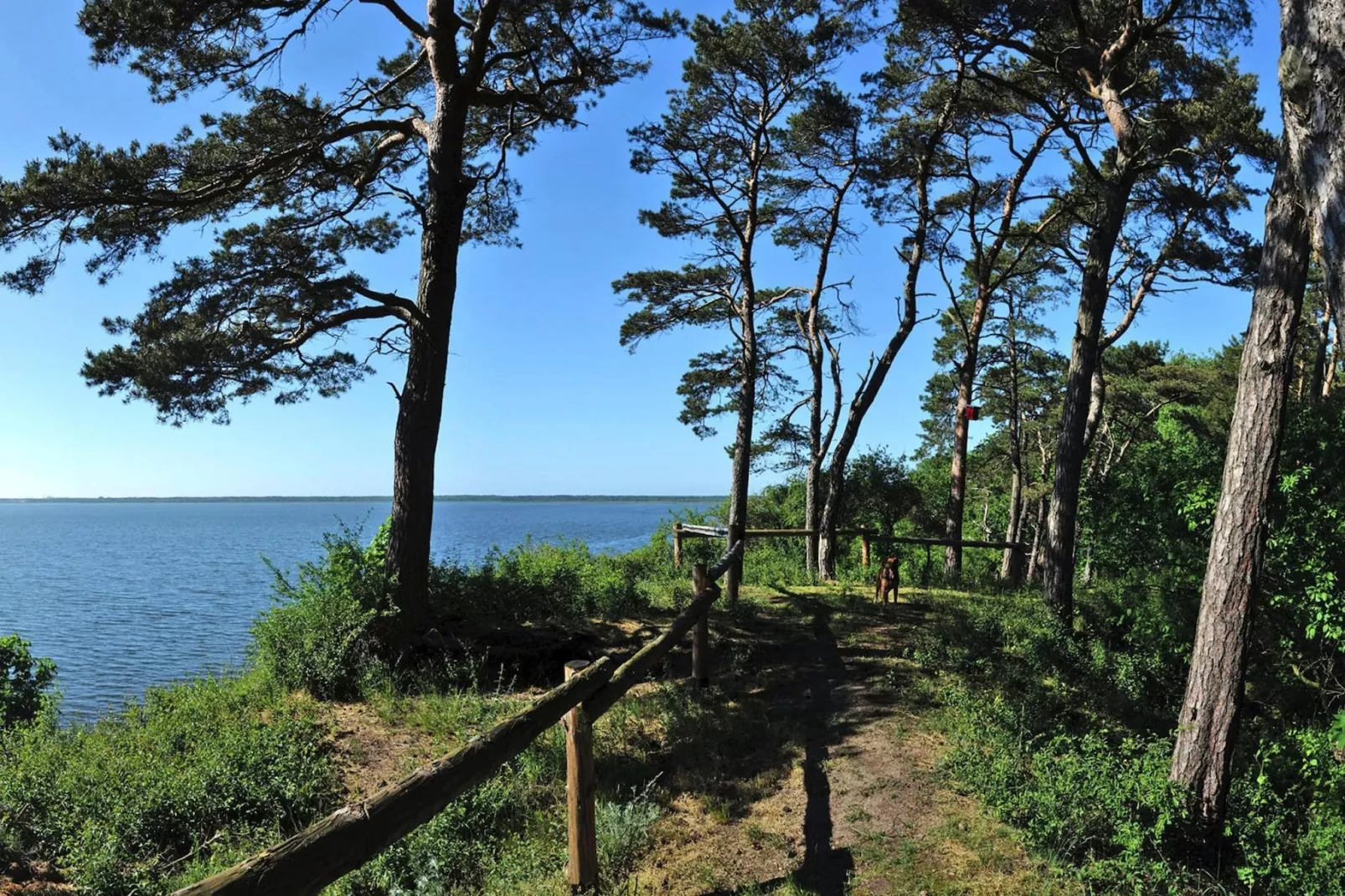 Holiday flat Lubin-Gebieden zomer 5km