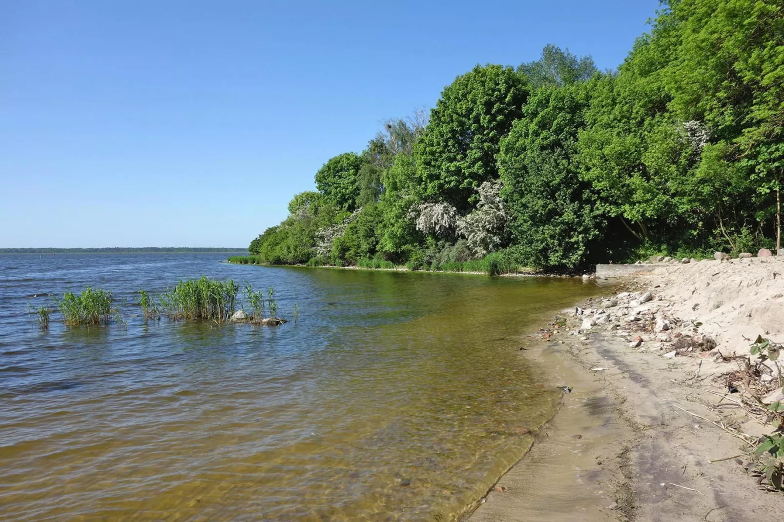 Holiday flat Lubin-Gebieden zomer 1km