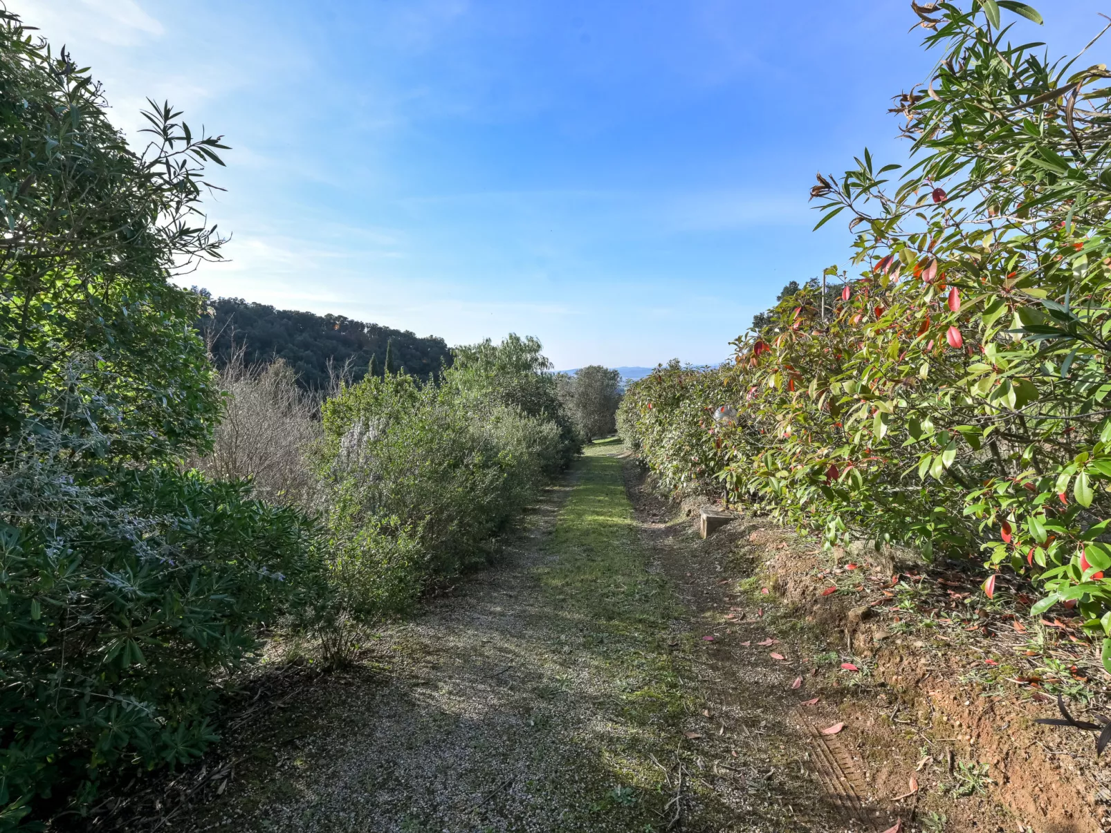 Augusta-Buiten