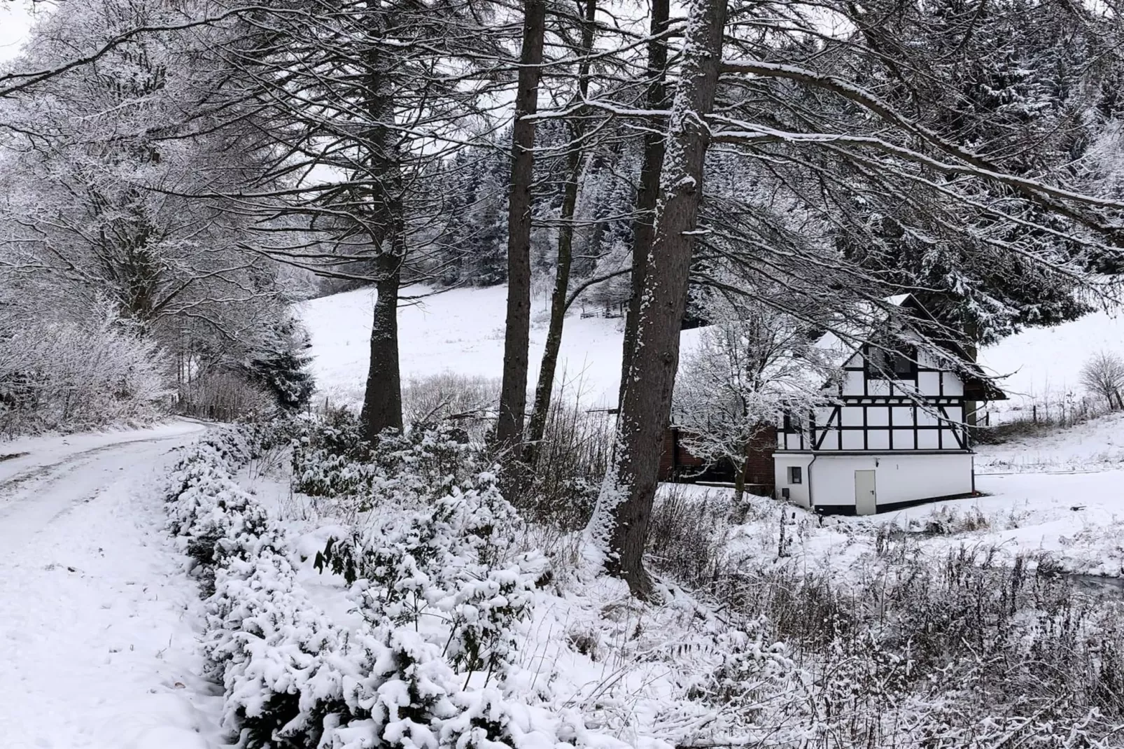 Lodge Winterberg-Exterieur winter