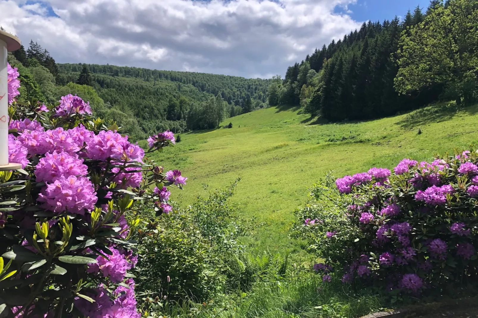 Lodge Winterberg-Tuinen zomer