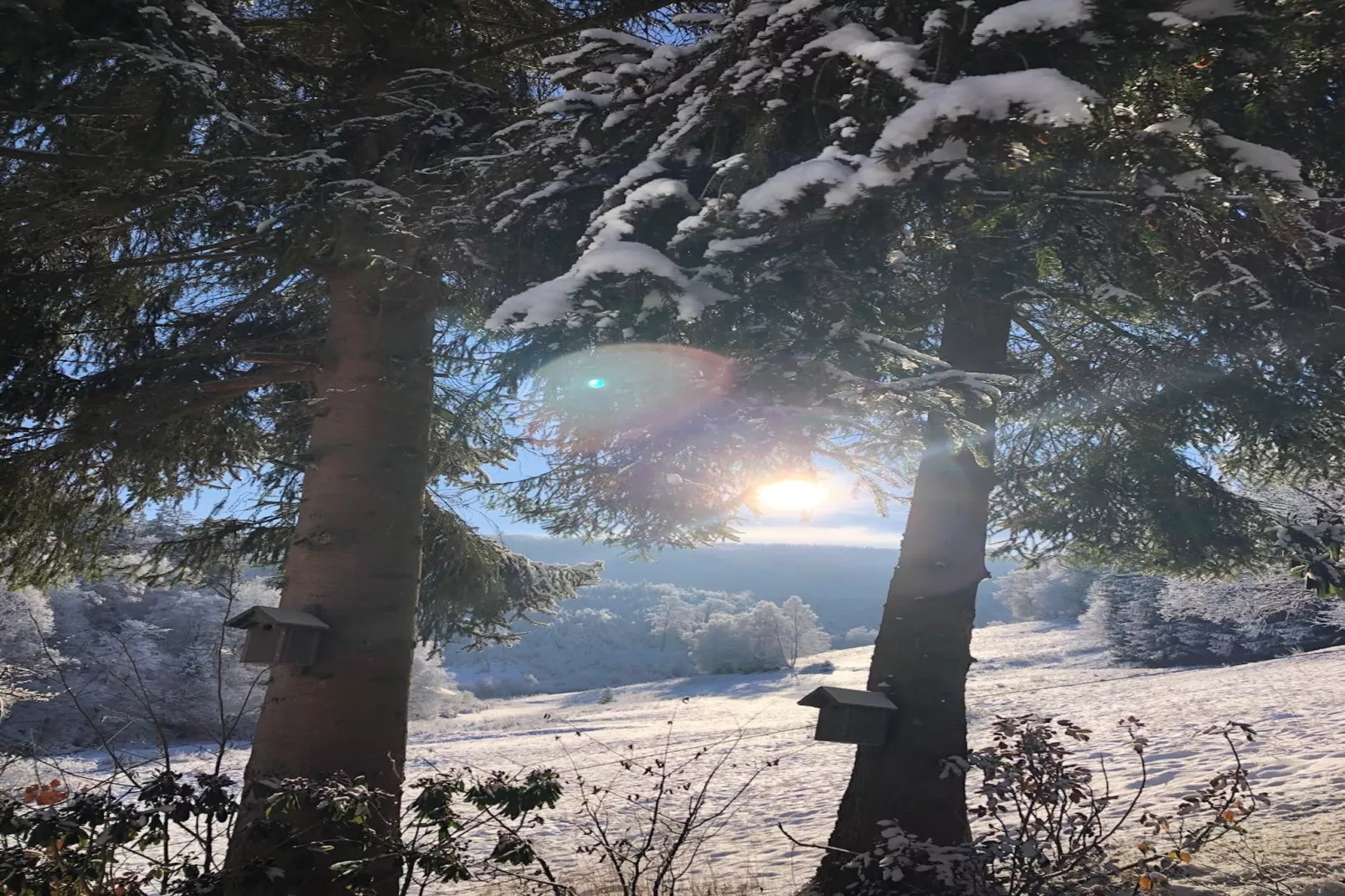 Lodge Winterberg-Tuin winter