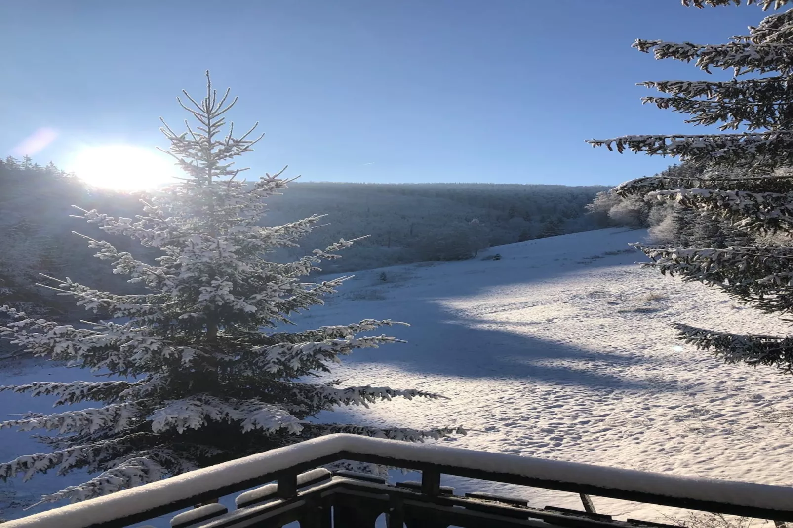 Lodge Winterberg-Tuin winter