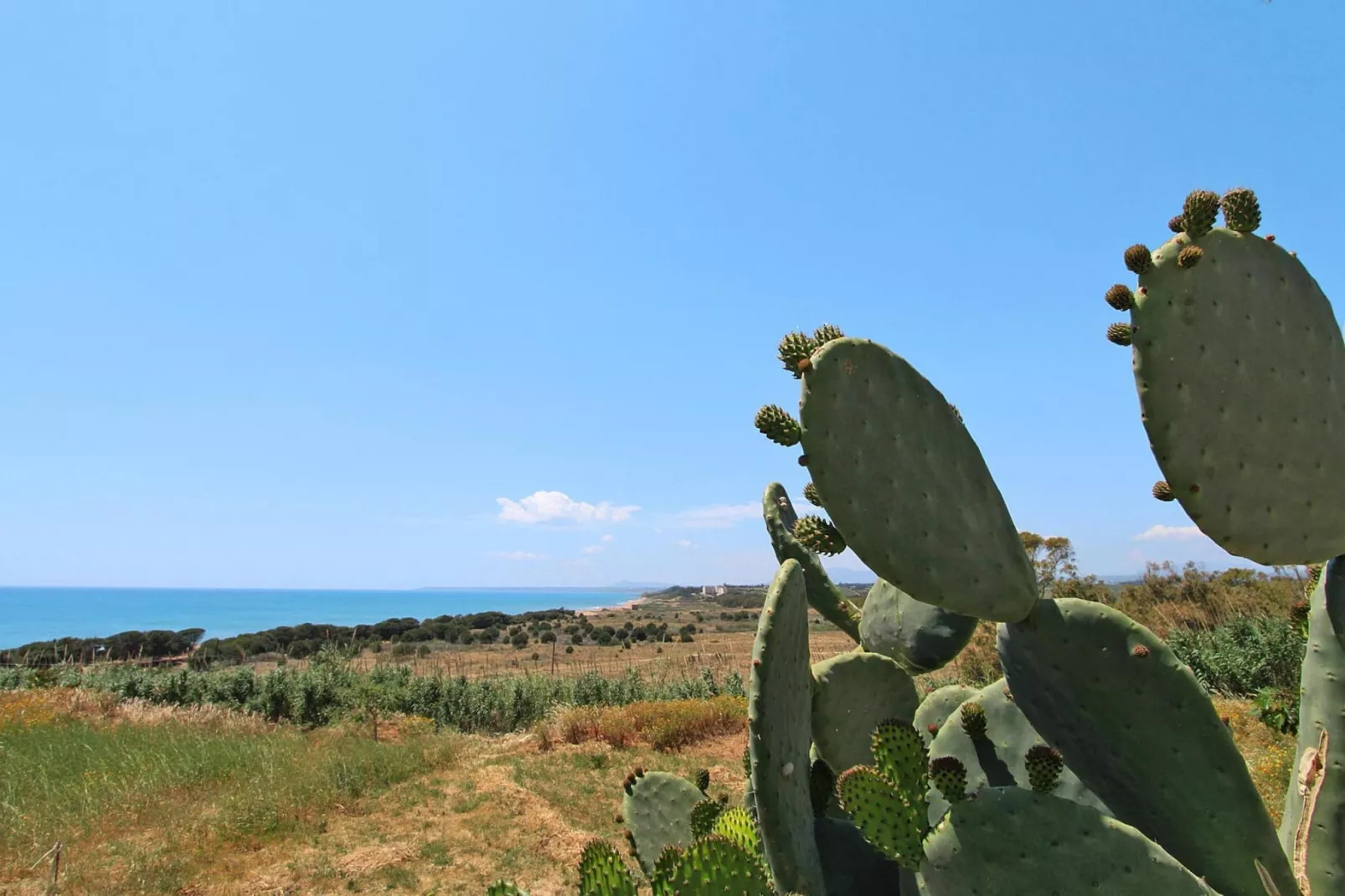 Apartments, Castelvetrano-Il Faro-Gebieden zomer 5km