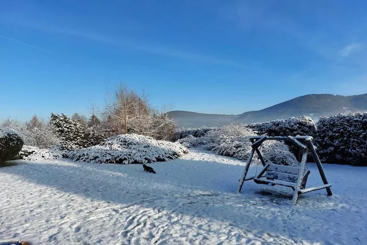 Willa wakacyjna dla 16 osób Brenna-Tuin winter