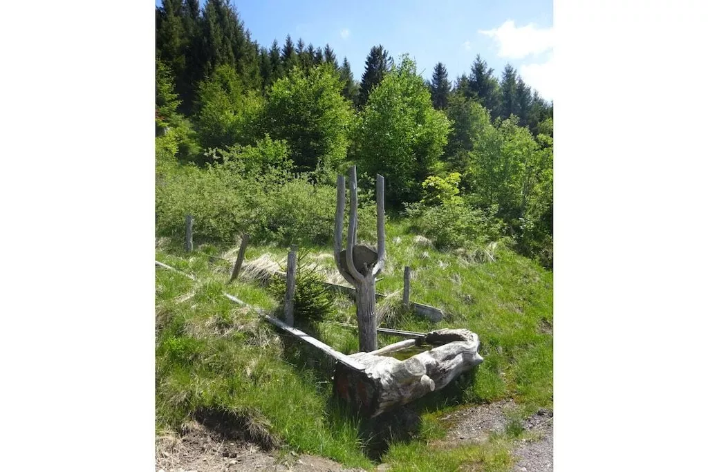 279405-Niet-getagd