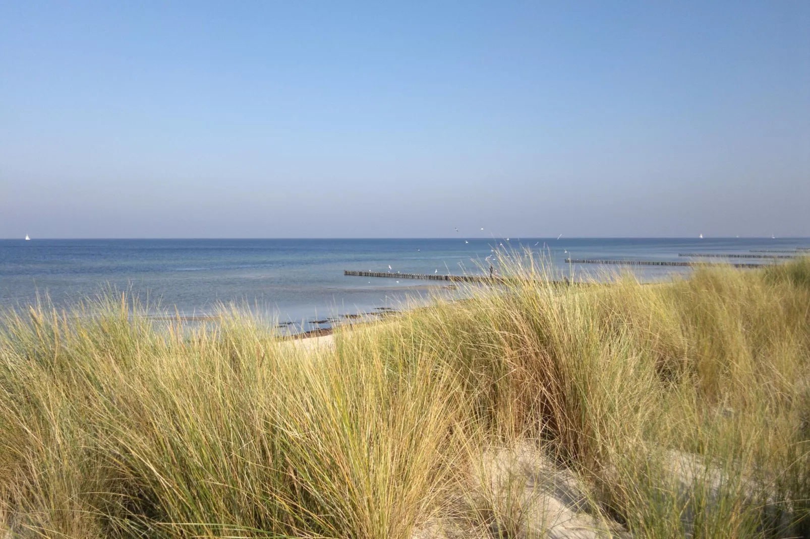 Bungalow Im Krabbenweg-Gebieden zomer 5km