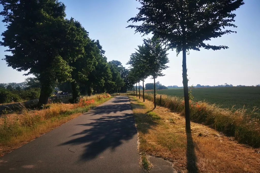 275735-Niet-getagd