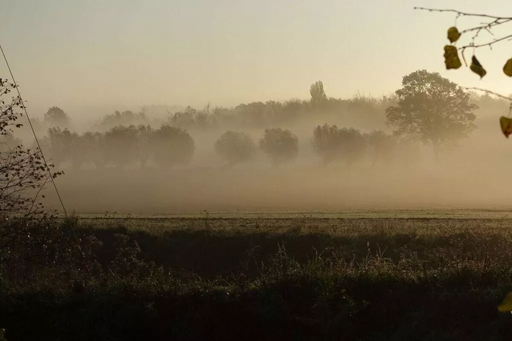 184447-Niet-getagd