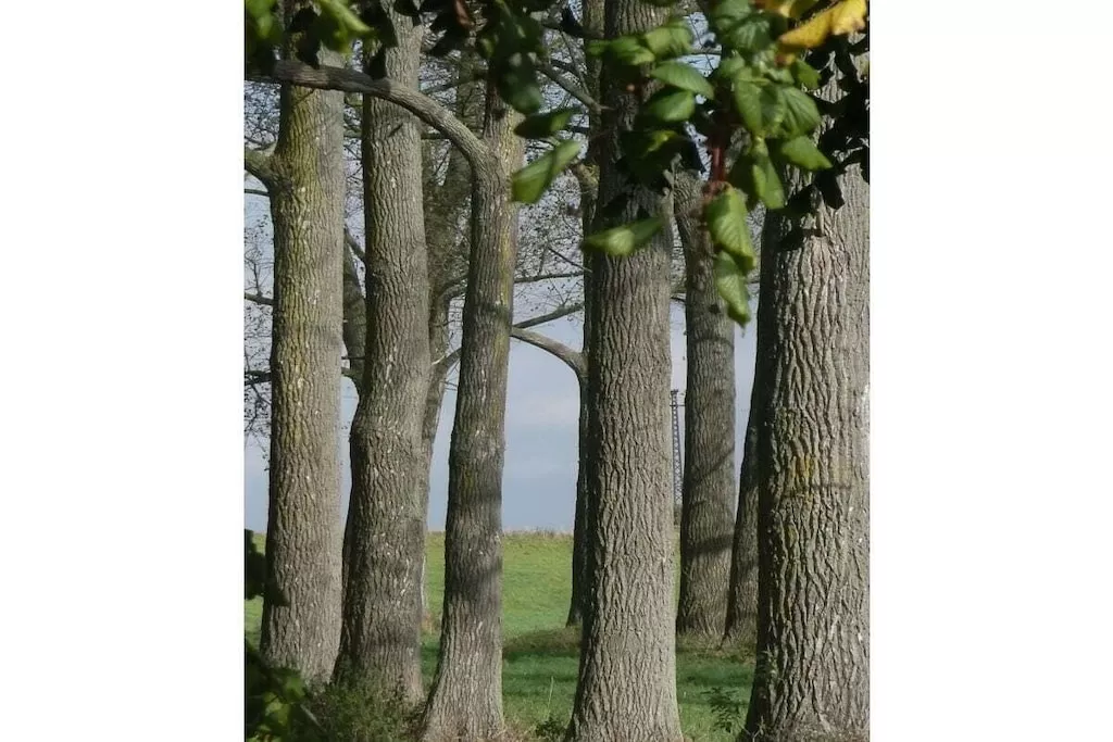 194717-Niet-getagd