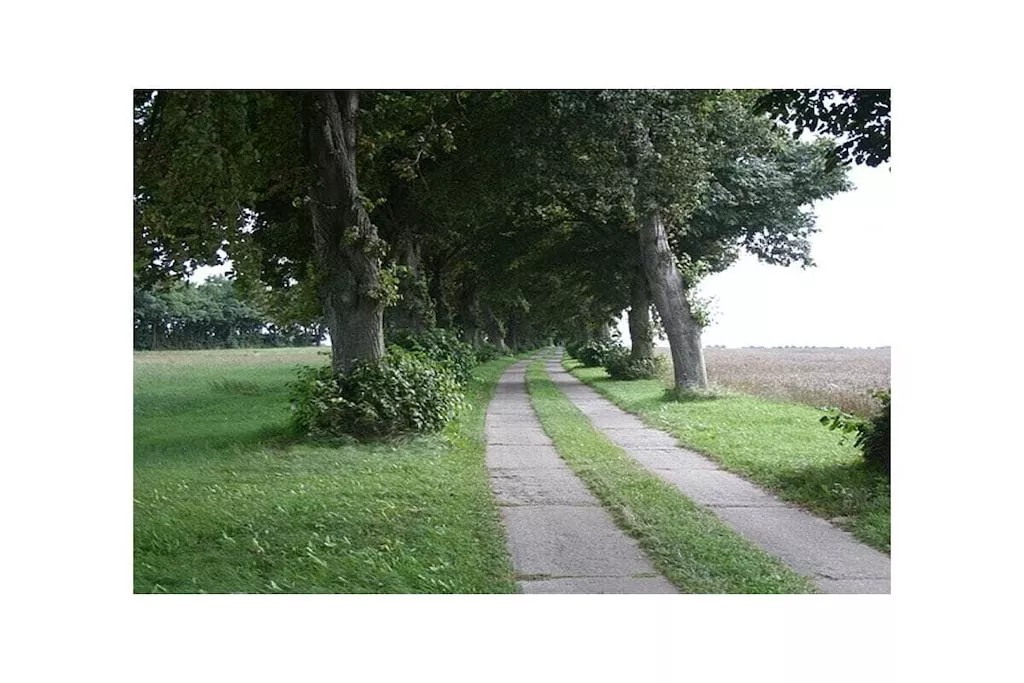 491570-Niet-getagd