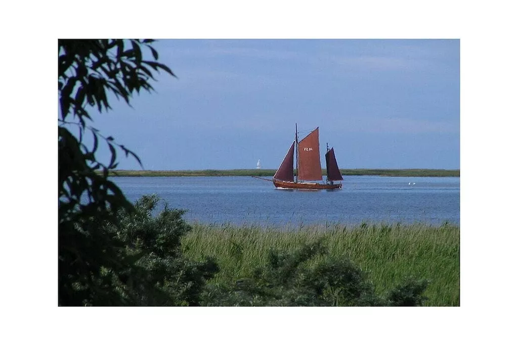 491570-Niet-getagd