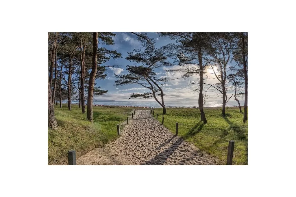 264269-Niet-getagd