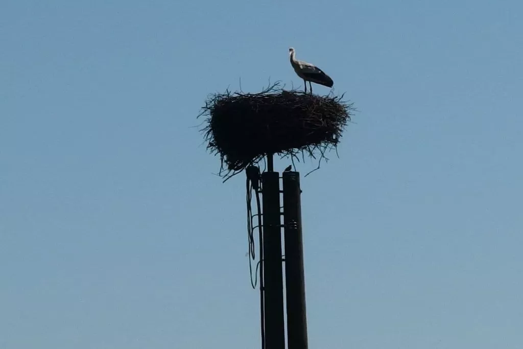 45560-Niet-getagd
