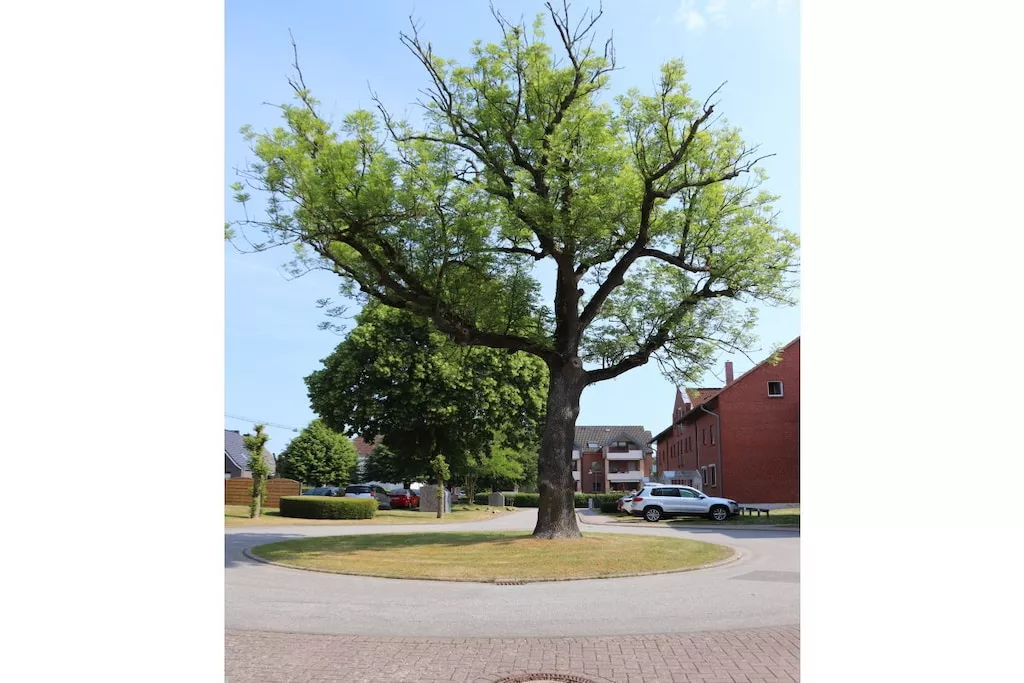244605-Niet-getagd