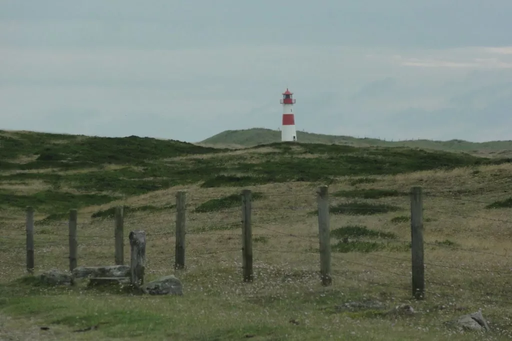 53642-Niet-getagd