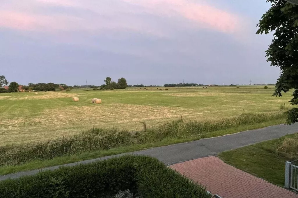 412188-Niet-getagd