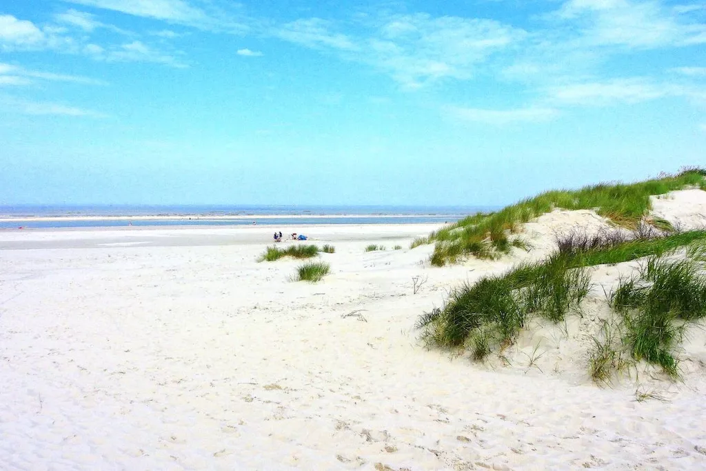 53771-Niet-getagd