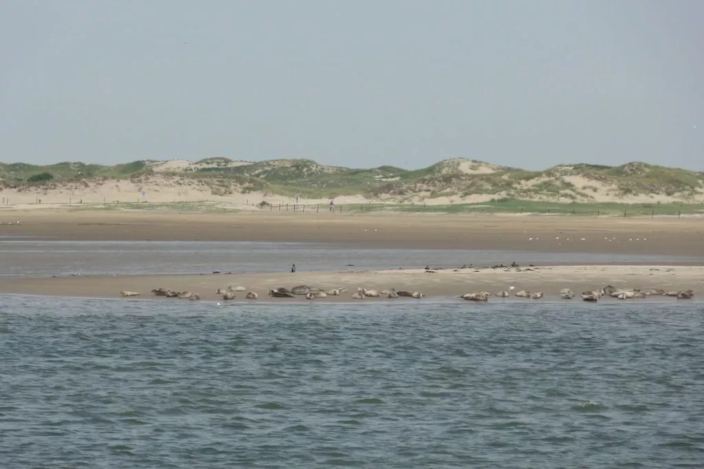 53771-Niet-getagd