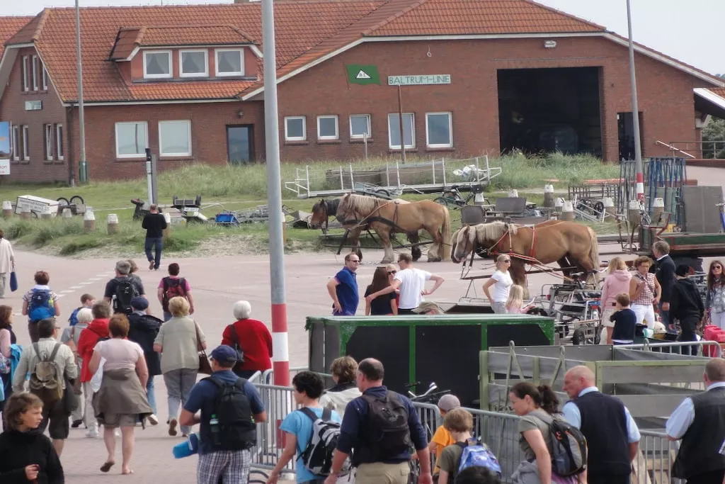53771-Niet-getagd