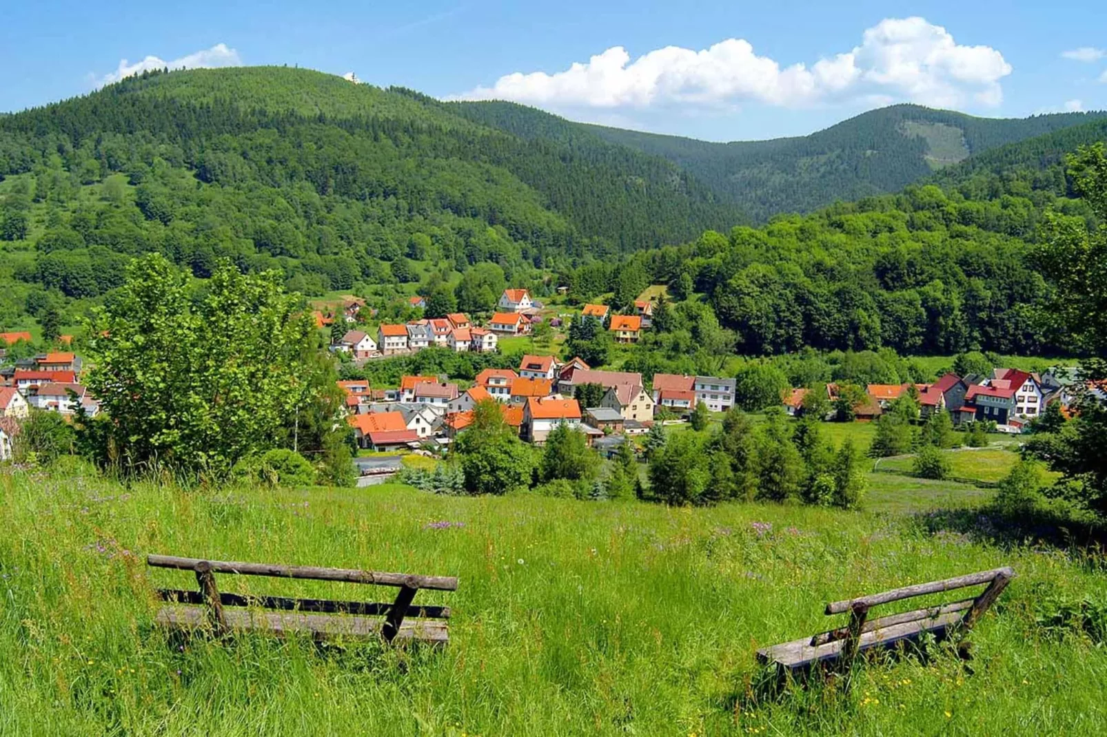 Am Hermannsberg-Gebieden zomer 20km