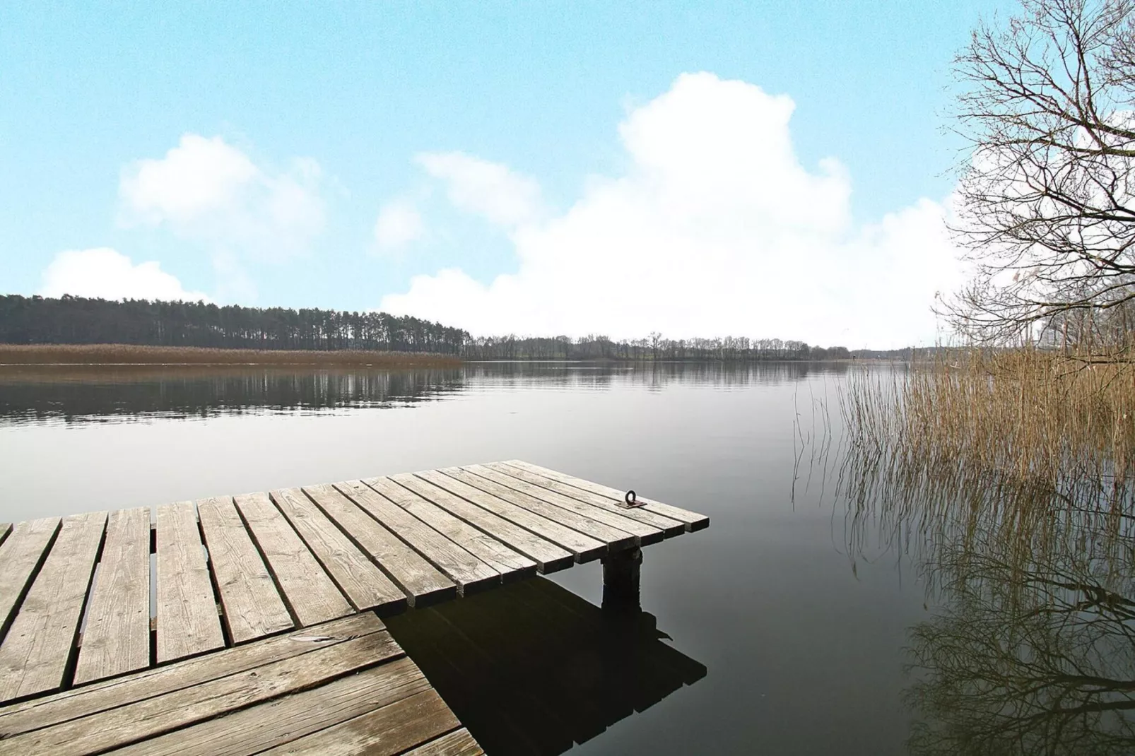Ferienhaus Seeadler 62 qm-Gebieden zomer 1km