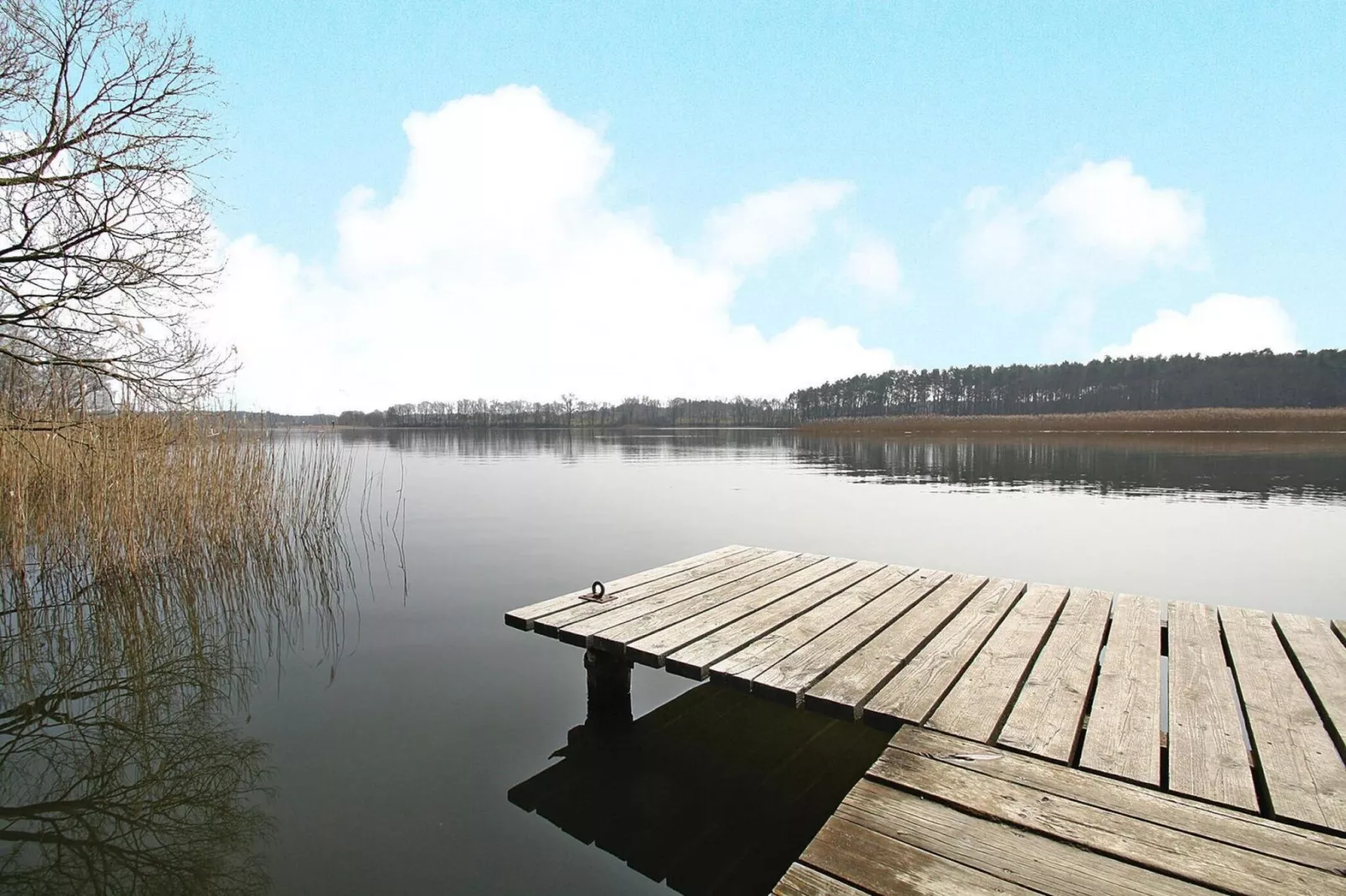 Ferienhaus Seeadler 62 qm-Gebieden zomer 1km