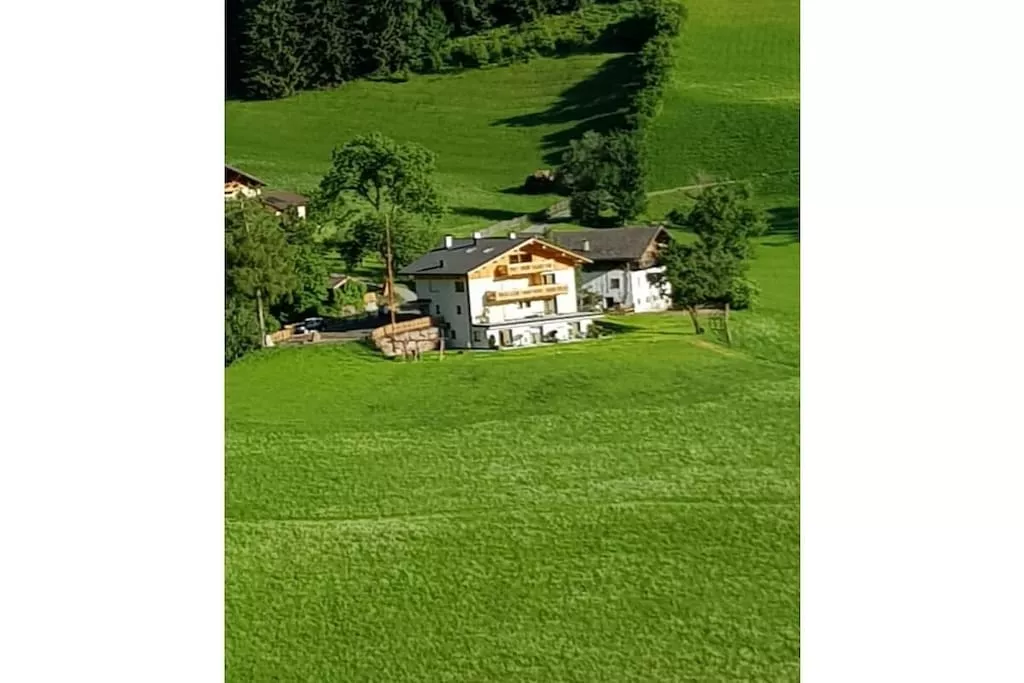 323631