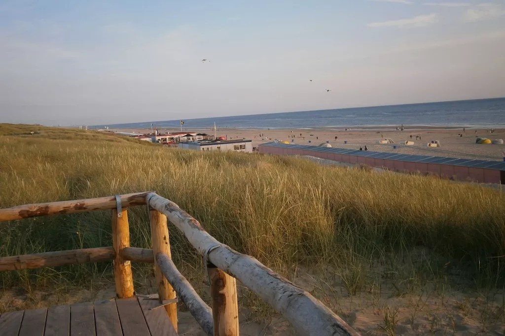 77536-Niet-getagd