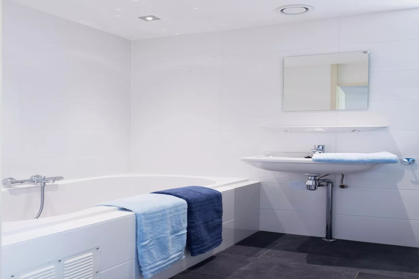 Skip Wellness de luxe met sauna-Badkamer