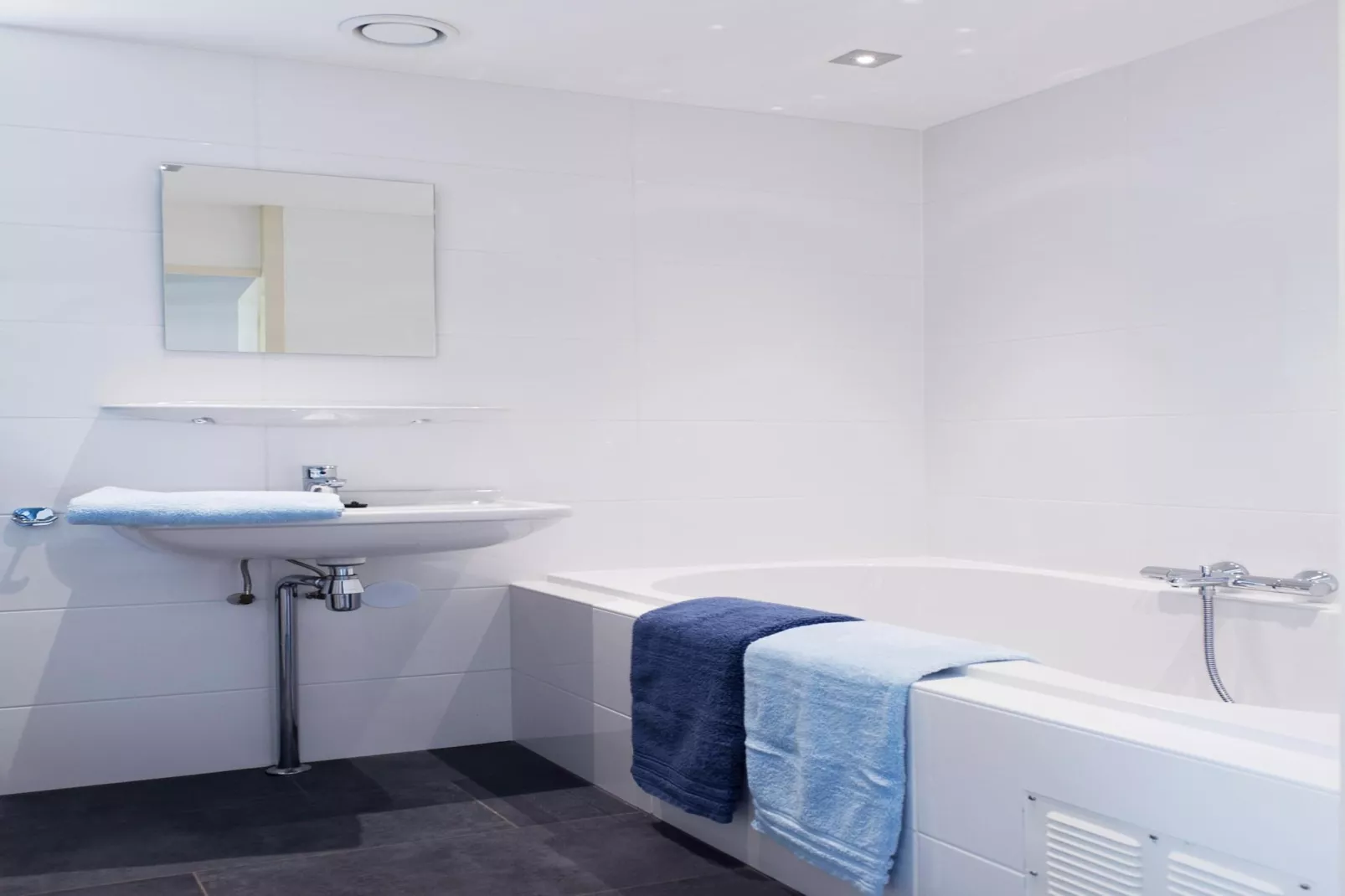 Skip Wellness de luxe met sauna-Badkamer