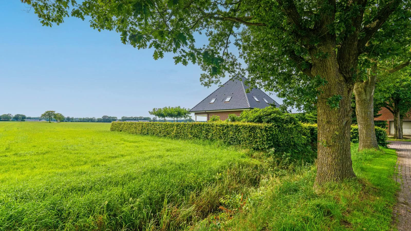De Kolonie-Buitenkant zomer