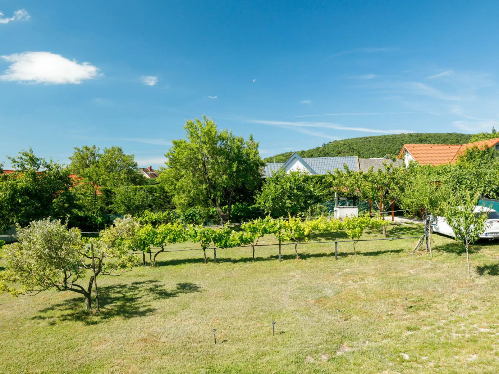 Antal-Buiten