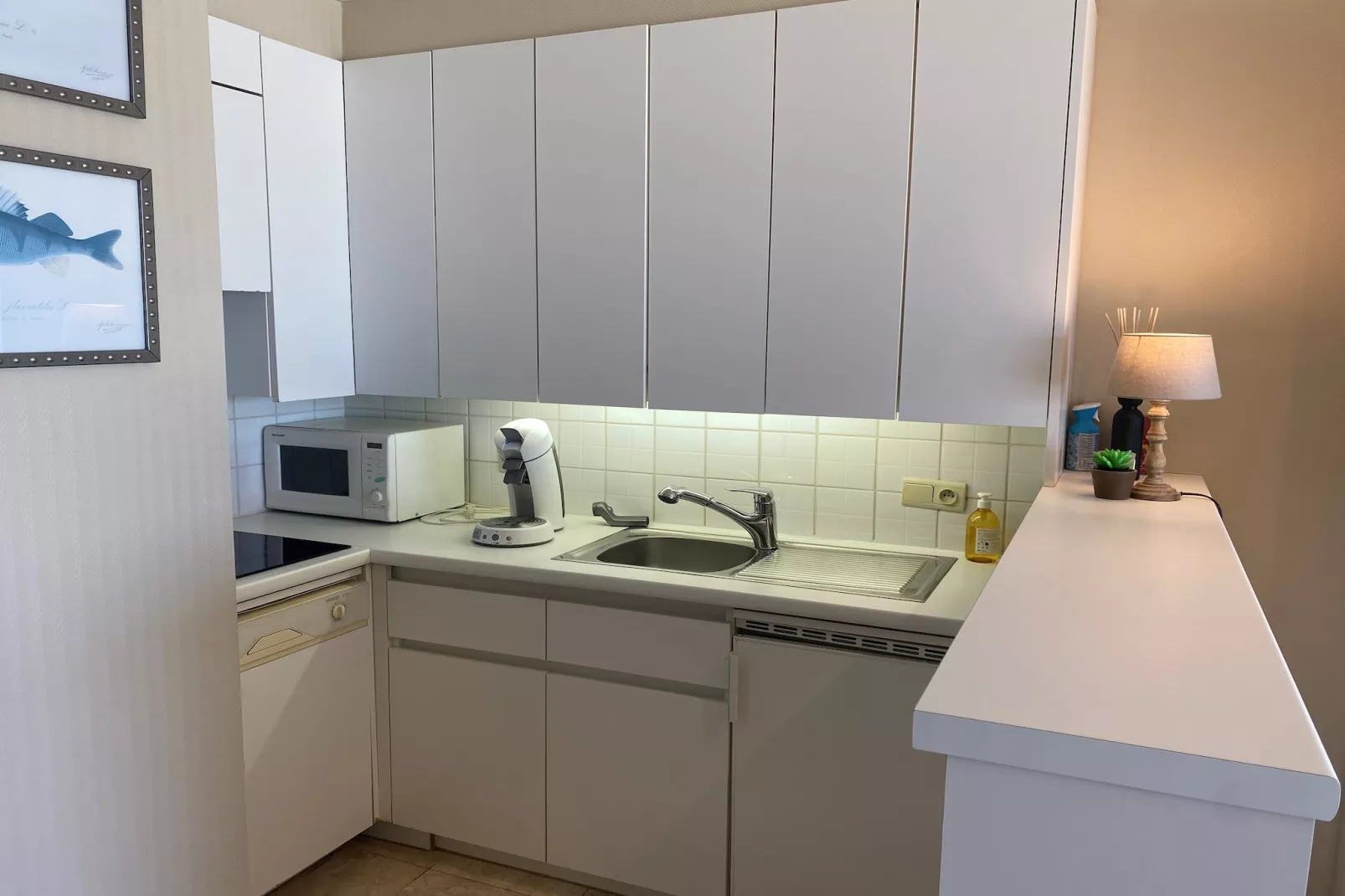 SEAWIND 502-Keuken