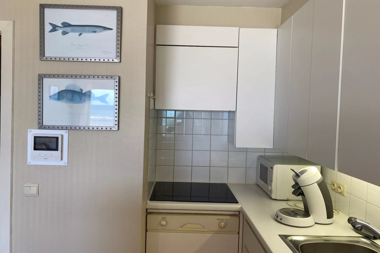 SEAWIND 502-Keuken