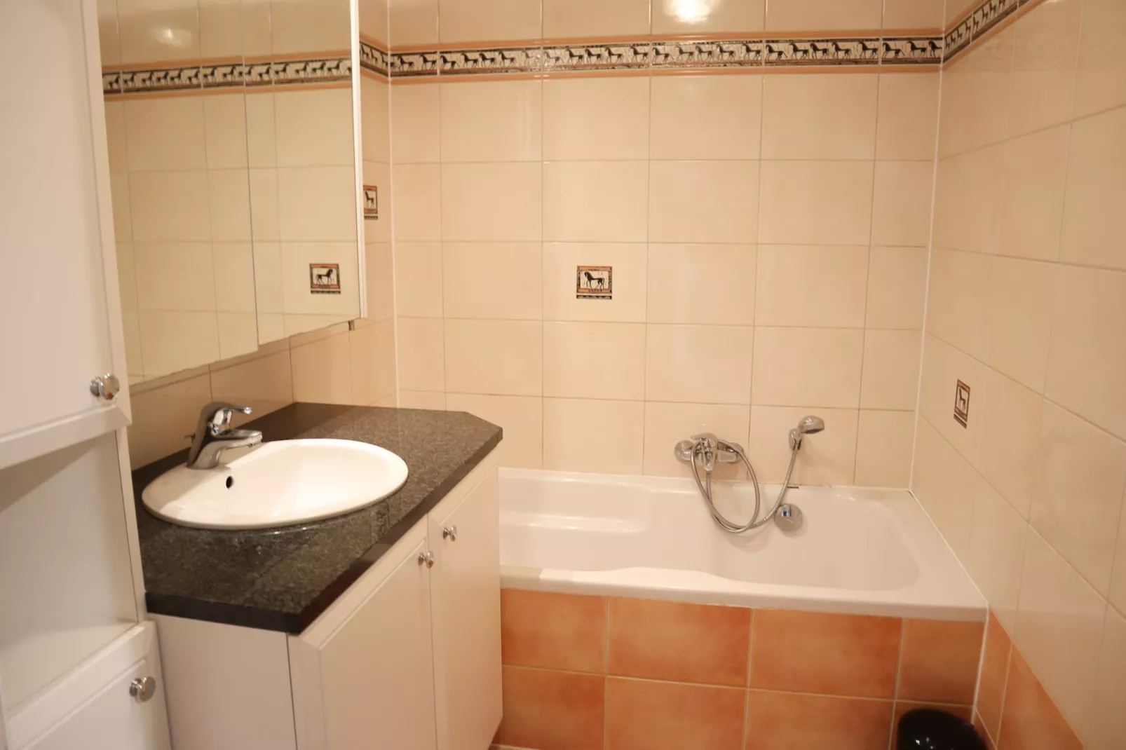 GOUNOD 0101PK-Badkamer