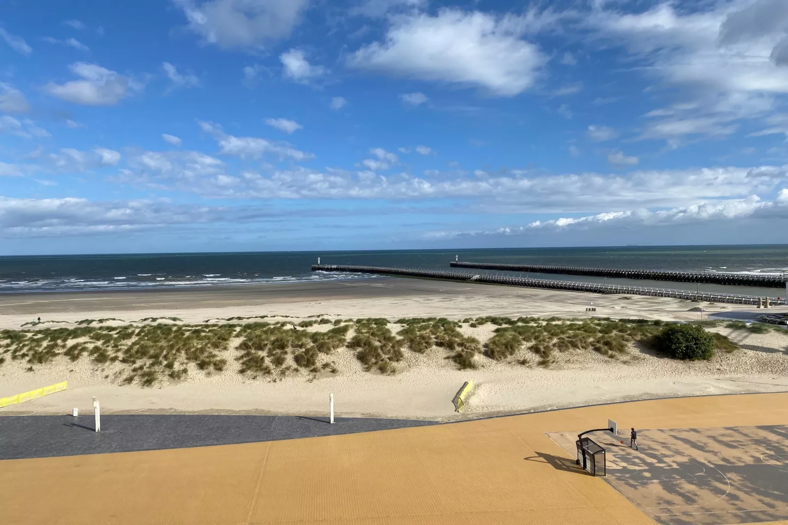 MERCATOR 0502PK-Gebieden zomer 1km