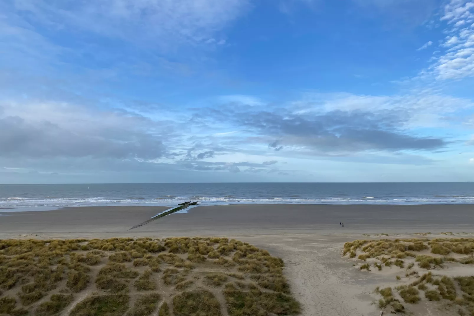 SEAWIND 503-Gebieden zomer 1km