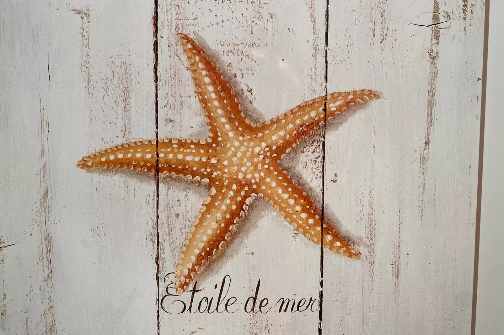 NEPTUNE60 0601GAR-Sfeer